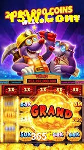Casino VIP 365G